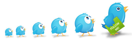 12 formules pour augmenter son trafic grâce à Twitter