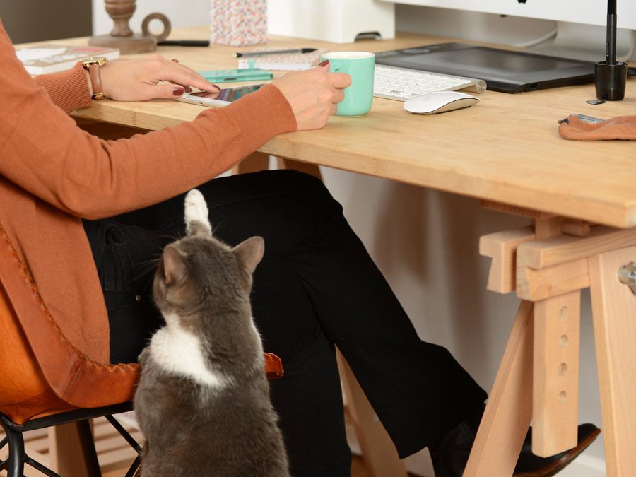 Pourquoi je blogue ? #CoulissesDuBlog n°6